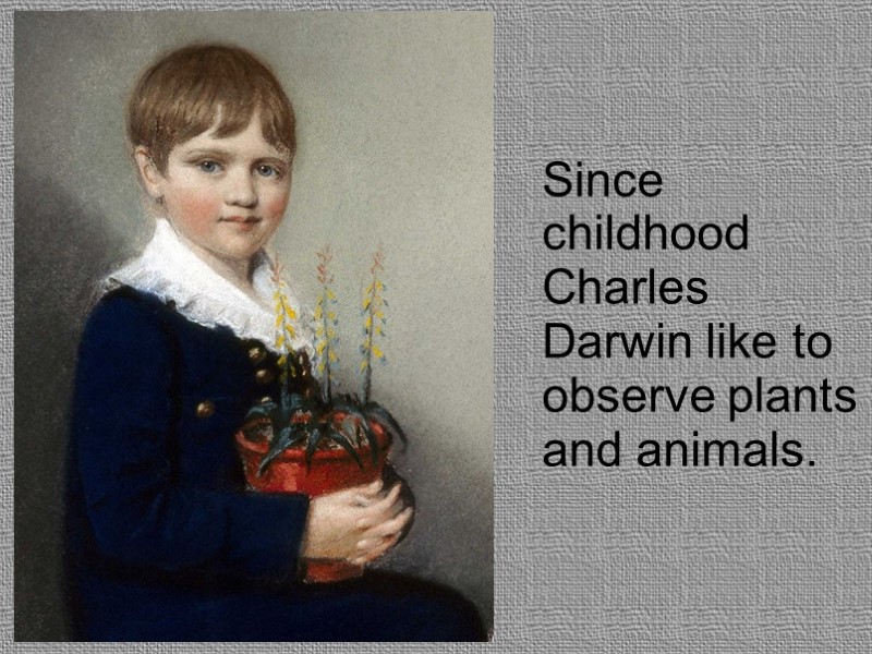 Since childhood Charles Darwin like to observe plants and animals.
